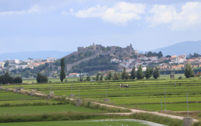 Plano Atividades 2026