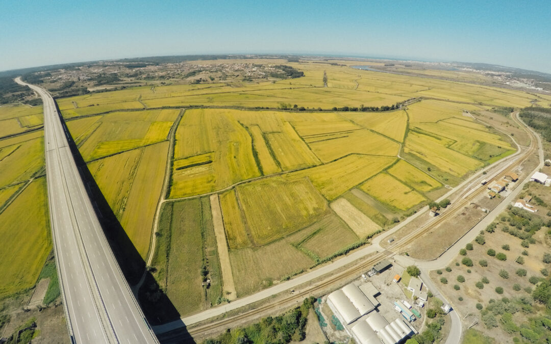 Edital Emparcelamento – Pranto Montante/Jusante