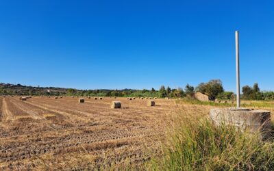 Relatório e Contas 2025